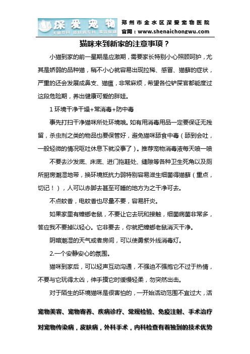 猫咪来到新家的注意事项？