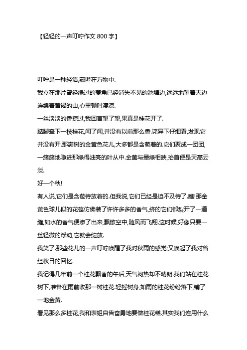 轻轻的一声叮咛作文800字(初中作文)