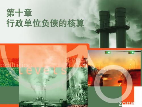 第十、十一章行政单位负债净资产