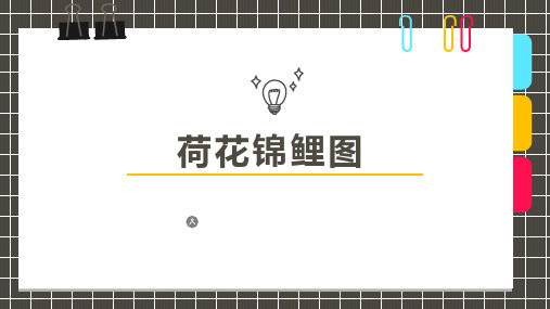 少儿美术创意PPT课件《荷花锦鲤图》