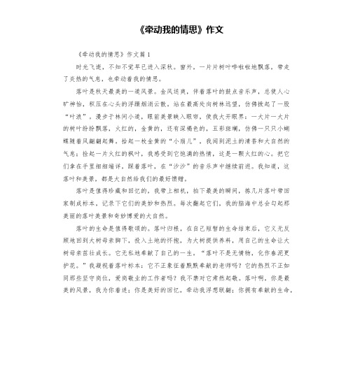 《牵动我的情思》作文