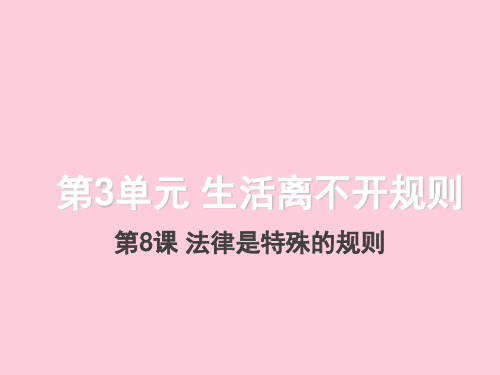 遵守法律规则ppt优秀课件1 北师大版
