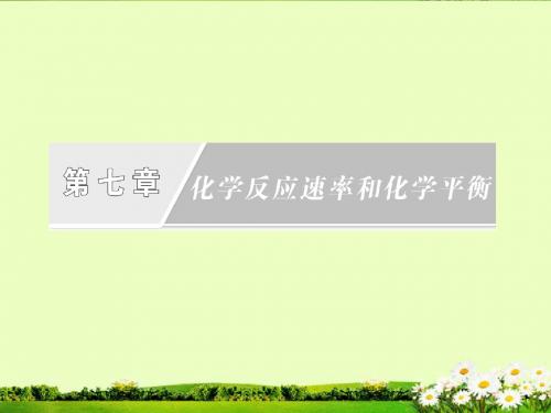 2013高考化学一轮复习 第07章 第1讲 化学反应速率课件 新人教版