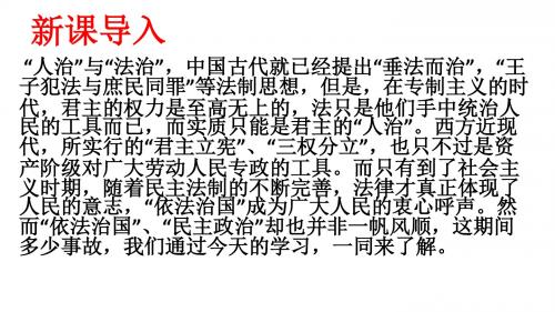 高中历史必修一21课民主政治建设的曲折发展公开课教学课件共24张PPT (共24张PPT)