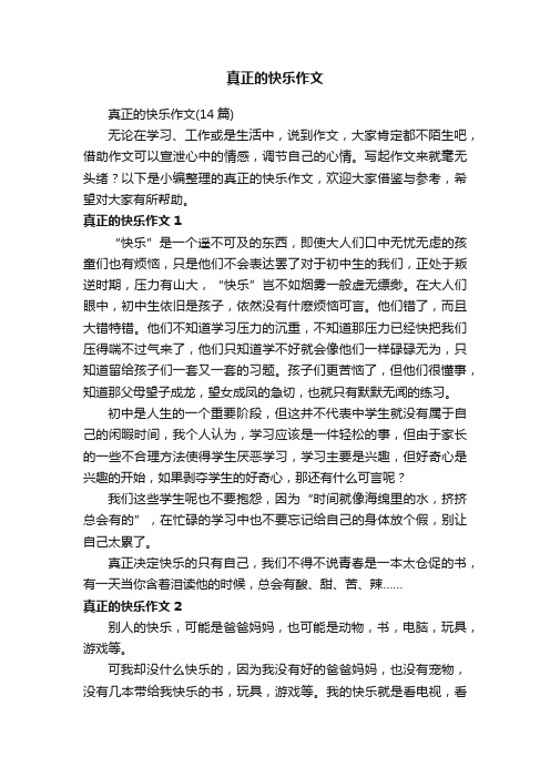 真正的快乐作文（14篇）