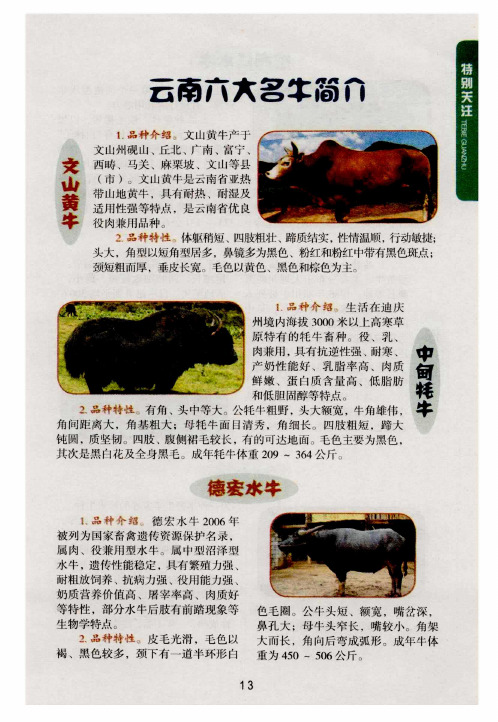 云南六大名牛简介