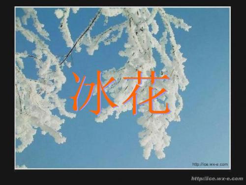 苏教版一年级上册《冰花》PPT课件2