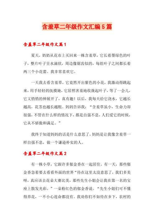 含羞草二年级作文汇编5篇