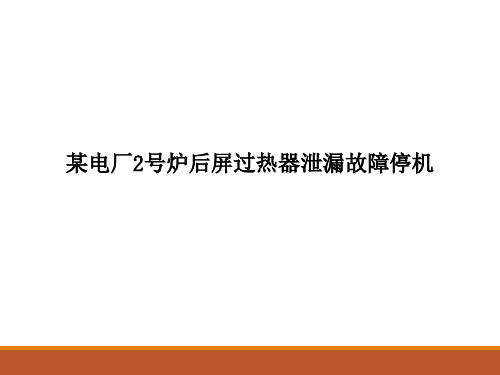 某电厂2号炉后屏过热器泄漏故障停机分析报告