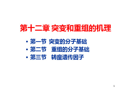 遗传学课件第十二章
