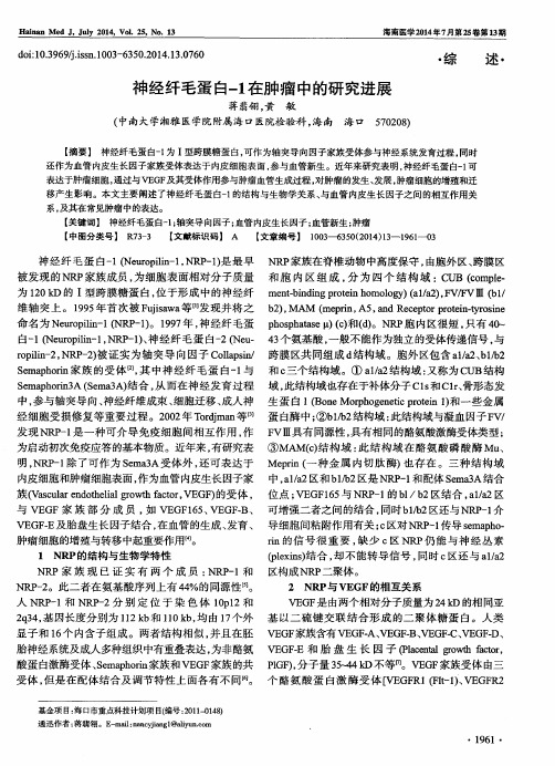 神经纤毛蛋白-1在肿瘤中的研究进展