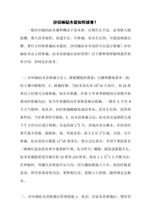 沙田柚砧木苗如何培育？_0