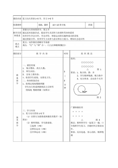 湖南省初中体育 3-4 功夫青春教案