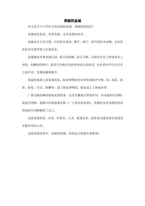 美丽的盐城_小学作文