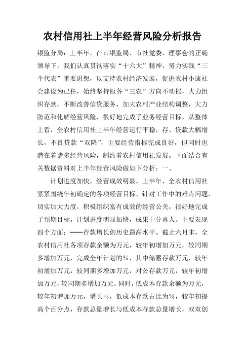 农村信用社上半年经营风险分析报告doc