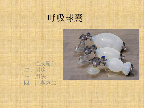 呼吸球囊课件