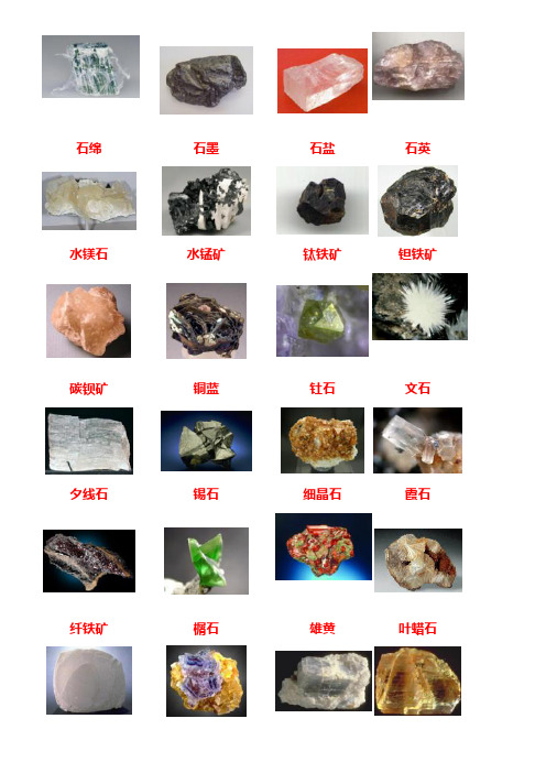 384种矿物与矿石标本