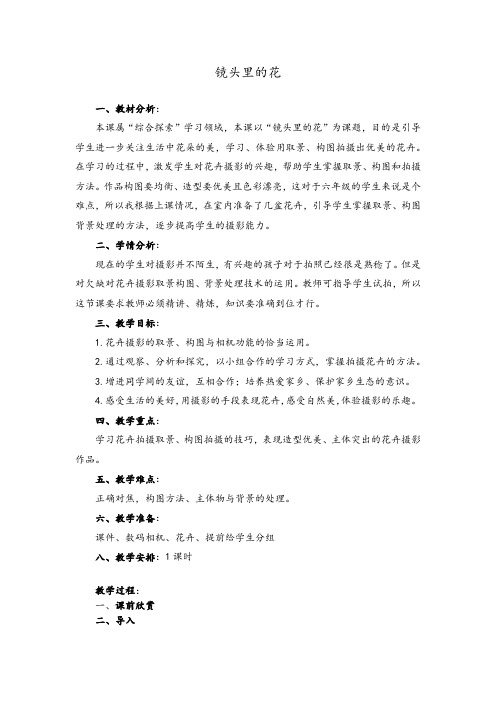 镜头里的花 花卉摄影教案