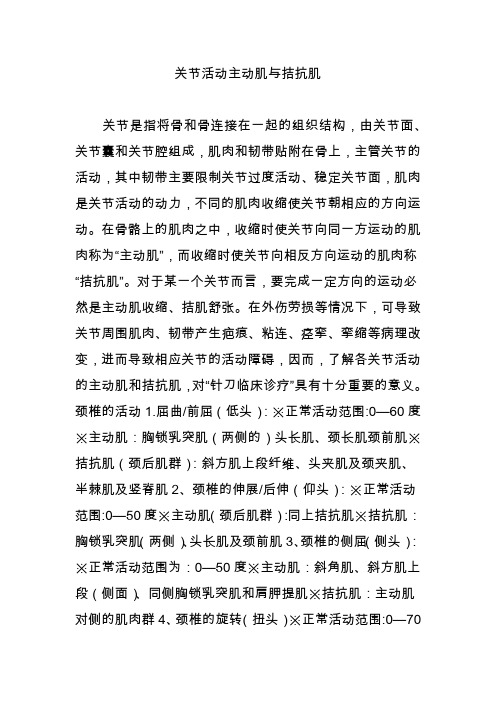 关节活动主动肌与拮抗肌