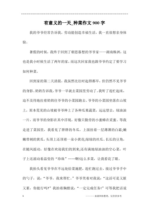 有意义的一天_种菜作文900字