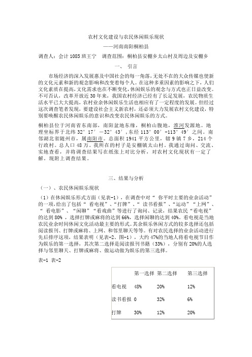农村文化建设与农民休闲娱乐现状
