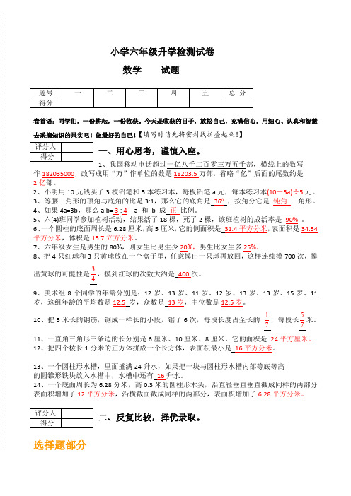 苏教版六年级数学小升初(尖子班精编2套)试卷附答案 (15)