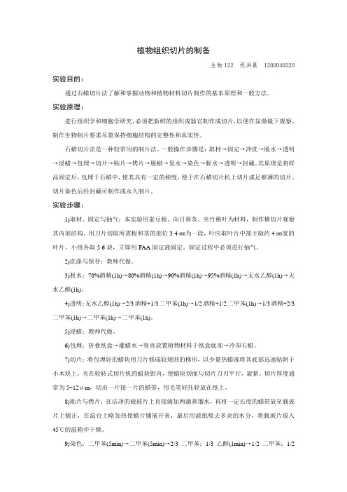 细胞生物学实验⑤植物组织切片的制备