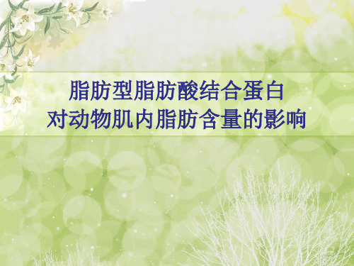 脂肪型脂肪酸结合蛋白