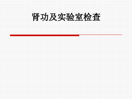 肾功及实验室检查ppt课件