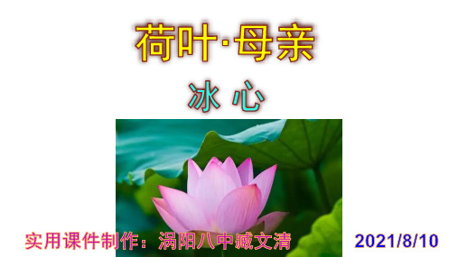 《荷叶·母亲》精品PPT课件