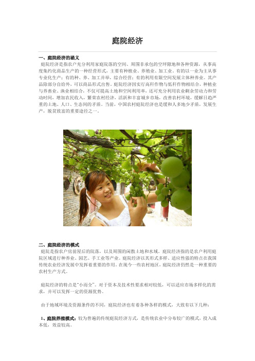 庭院经济