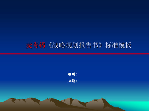 麦肯锡《公司战略规划报告书》标准模版
