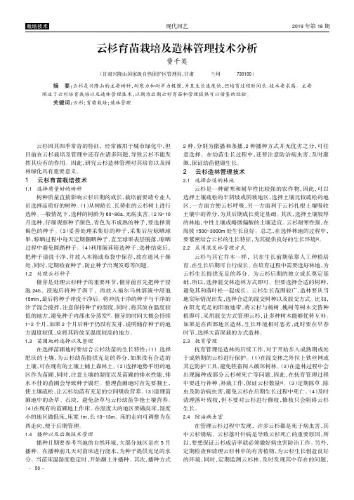 云杉育苗栽培及造林管理技术分析