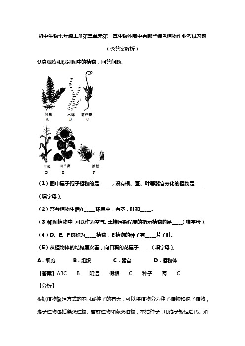 初中生物七年级上册第三单元第一章生物体圈中有哪些绿色植物作业考试习题(含答案解析)(345)