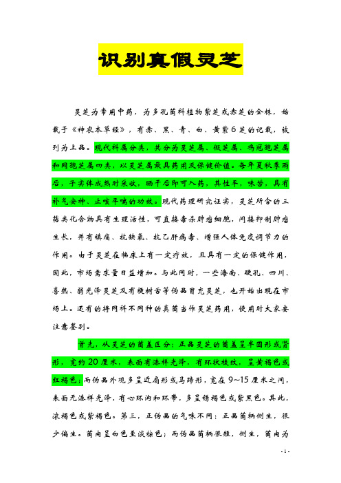 识别真假灵芝 Microsoft Word 文档张自在