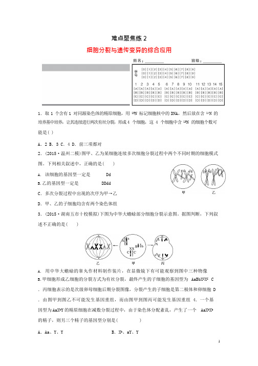 (完整版)高考生物大二轮总复习增分策略难点聚焦练2细胞分裂与遗传变异的综.总结,推荐文档