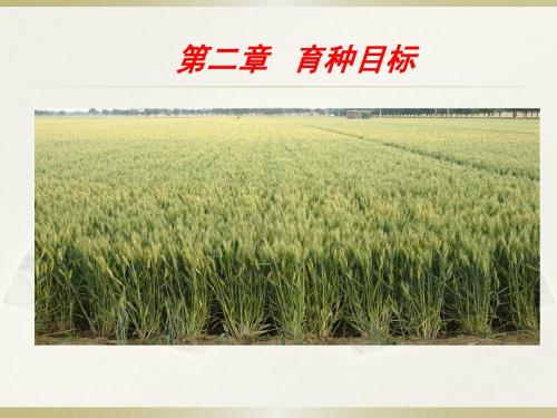第二章 育种目标