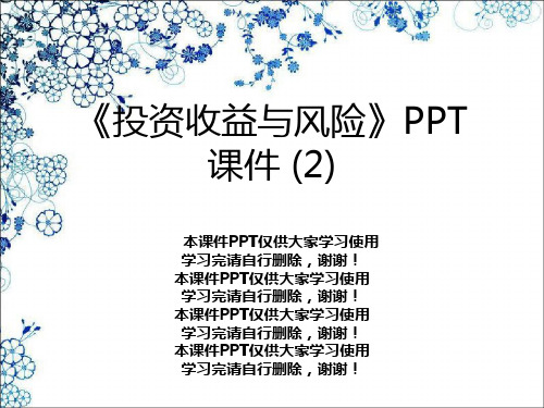 《投资收益与风险》PPT课件 (2)