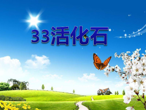 《活化石》精选优质教学PPT课件3