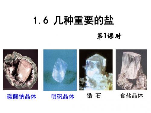 (新)浙教版九年级科学上册1.6《几种重要的盐》公开课课件 (共21张PPT)