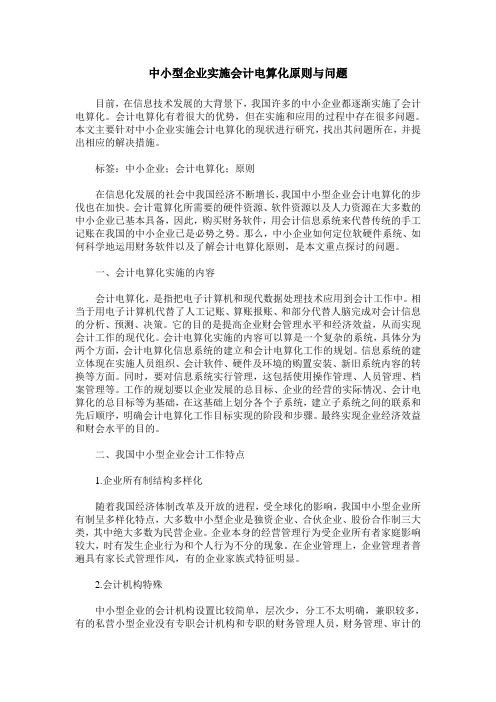 中小型企业实施会计电算化原则与问题