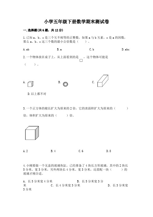 小学五年级下册数学期末测试卷附答案【达标题】