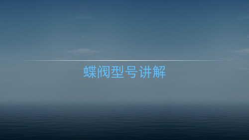 蝶阀型号讲解