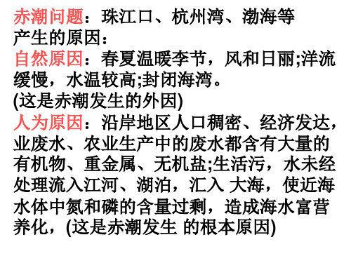 赤潮问题：珠江口