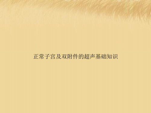 正常子宫及双附件的超声基础知识