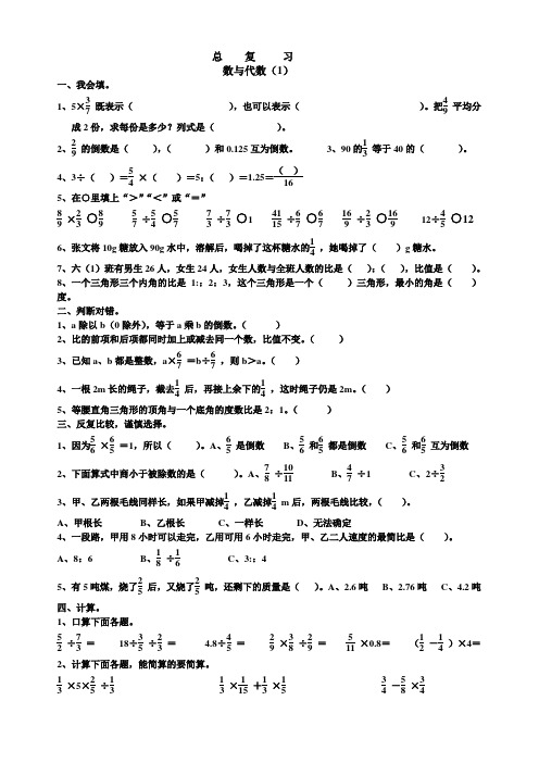 数与代数1