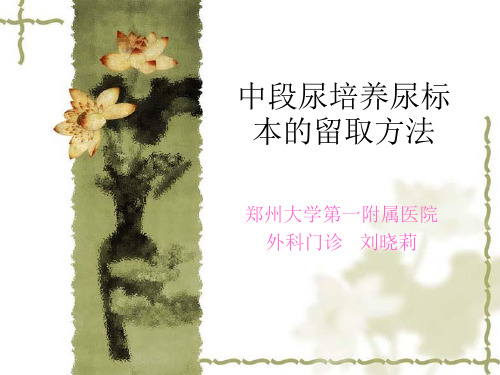 中段尿培养尿标本的培养方法
