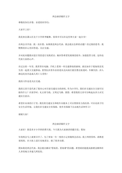 两会演讲稿作文450字