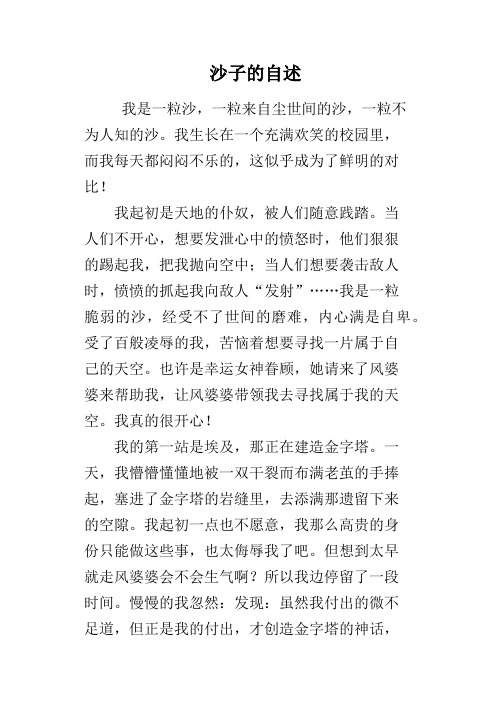沙子的自述