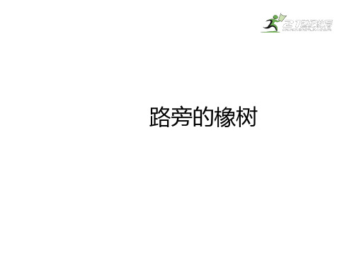 人教新课标三年级下册语文课件-8路旁的橡树